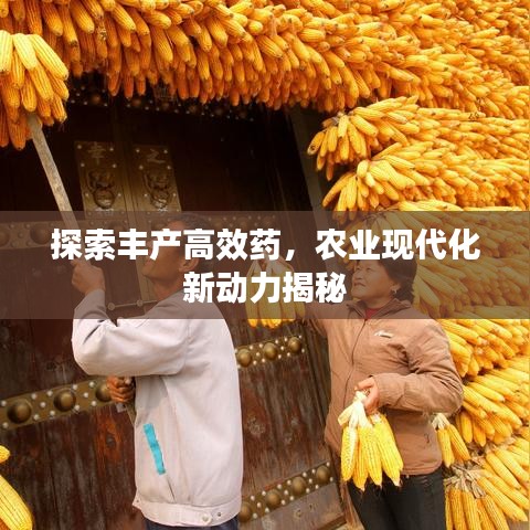 志在四方 第2頁(yè)