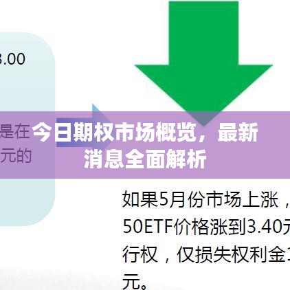 今日期權(quán)市場(chǎng)概覽，最新消息全面解析