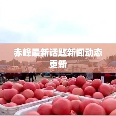 赤峰最新話題新聞動(dòng)態(tài)更新