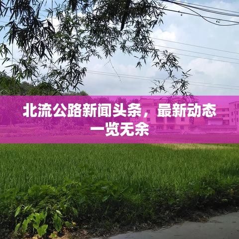 北流公路新聞頭條，最新動態(tài)一覽無余