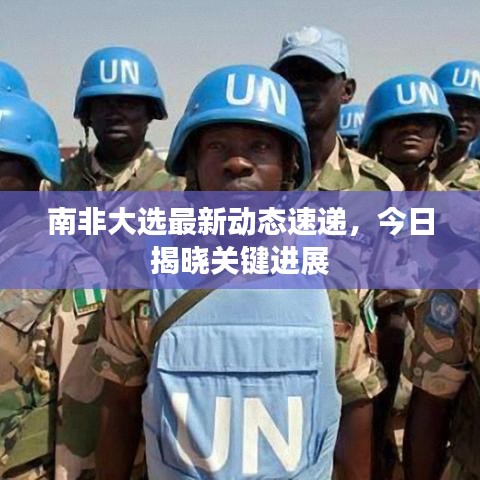 南非大選最新動態(tài)速遞，今日揭曉關鍵進展