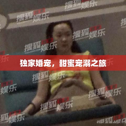 獨家婚寵，甜蜜寵溺之旅