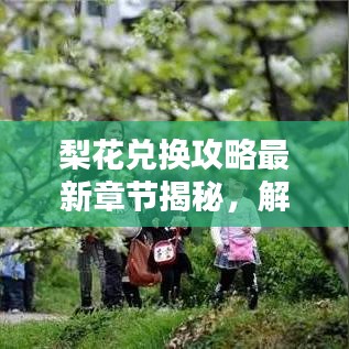 梨花兌換攻略最新章節(jié)揭秘，解鎖虛擬世界財(cái)富之門(mén)