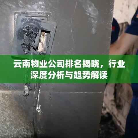 云南物業(yè)公司排名揭曉，行業(yè)深度分析與趨勢(shì)解讀