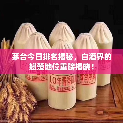 茅臺(tái)今日排名揭秘，白酒界的翹楚地位重磅揭曉！