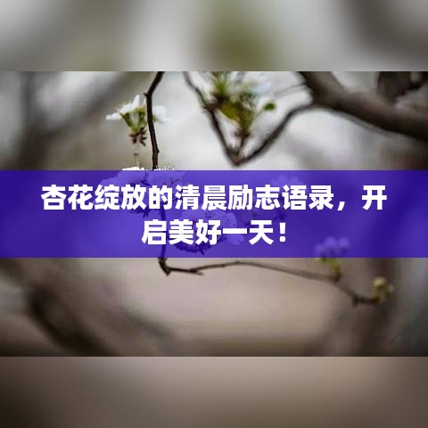 杏花綻放的清晨勵(lì)志語(yǔ)錄，開(kāi)啟美好一天！