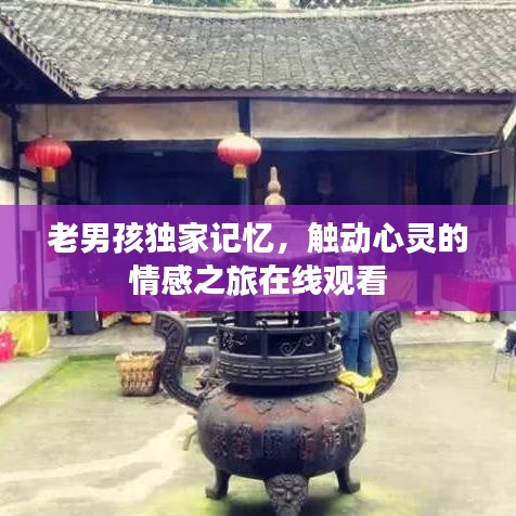 老男孩獨家記憶，觸動心靈的情感之旅在線觀看