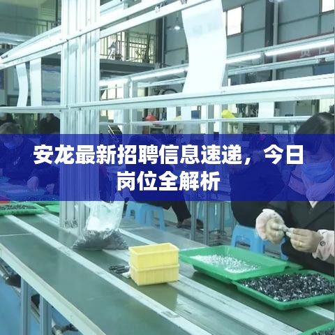 安龍最新招聘信息速遞，今日崗位全解析