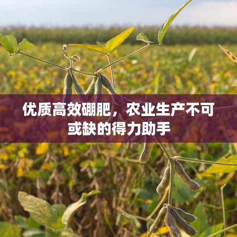 優(yōu)質(zhì)高效硼肥，農(nóng)業(yè)生產(chǎn)不可或缺的得力助手