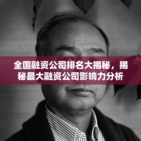 全國融資公司排名大揭秘，揭秘最大融資公司影響力分析