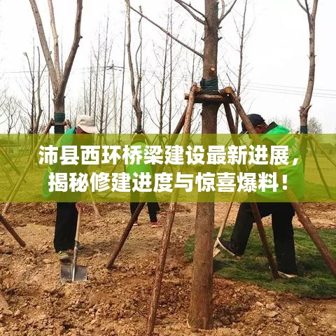 沛縣西環(huán)橋梁建設(shè)最新進(jìn)展，揭秘修建進(jìn)度與驚喜爆料！