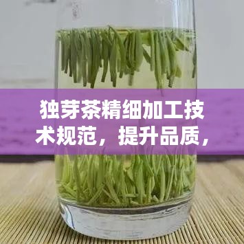 獨芽茶精細加工技術(shù)規(guī)范，提升品質(zhì)，百度收錄必備指南