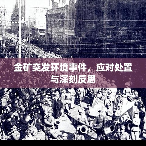 金礦突發(fā)環(huán)境事件，應(yīng)對(duì)處置與深刻反思