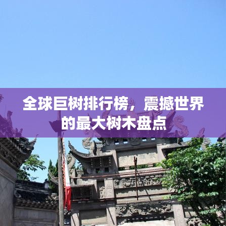 全球巨樹排行榜，震撼世界的最大樹木盤點