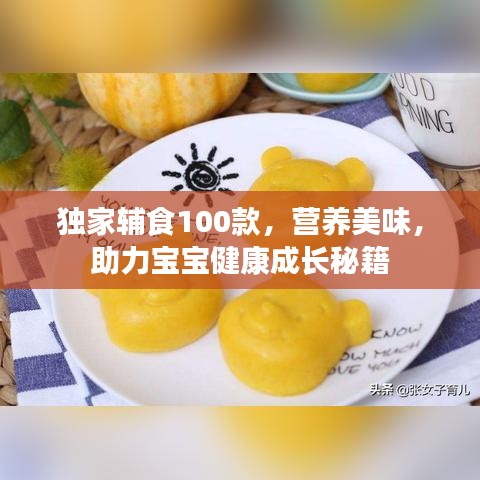 獨(dú)家輔食100款，營(yíng)養(yǎng)美味，助力寶寶健康成長(zhǎng)秘籍