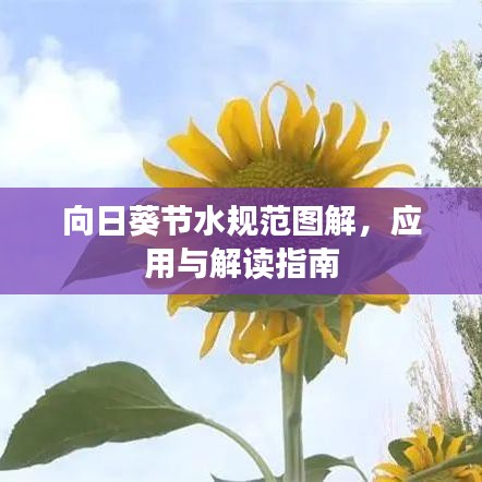向日葵節(jié)水規(guī)范圖解，應用與解讀指南