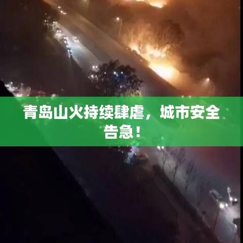 青島山火持續(xù)肆虐，城市安全告急！