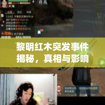 黎明紅木突發(fā)事件揭秘，真相與影響探究