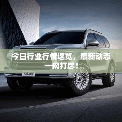 今日行業(yè)行情速覽，最新動態(tài)一網(wǎng)打盡！