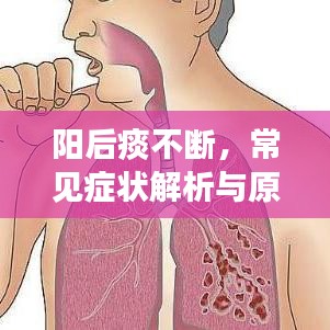 陽后痰不斷，常見癥狀解析與原因探究