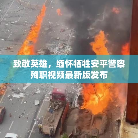 真獨簡貴 第2頁