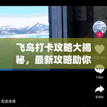 飛鳥打卡攻略大揭秘，最新攻略助你暢游天際！