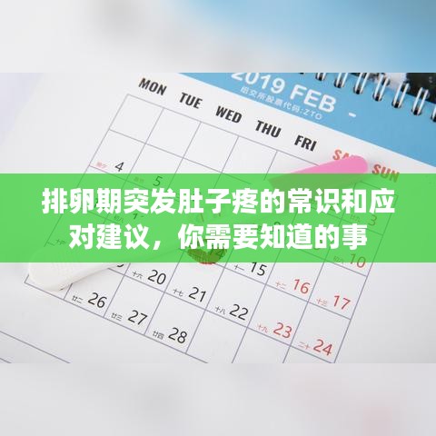 排卵期突發(fā)肚子疼的常識(shí)和應(yīng)對(duì)建議，你需要知道的事