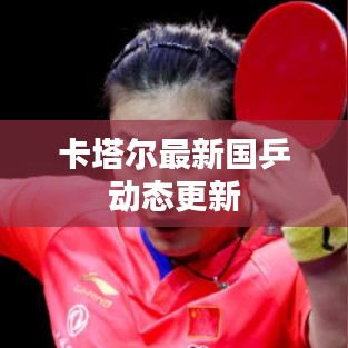 卡塔爾最新國(guó)乒動(dòng)態(tài)更新