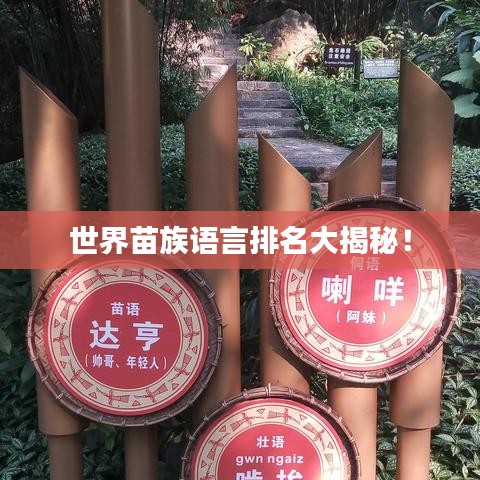 世界苗族語(yǔ)言排名大揭秘！