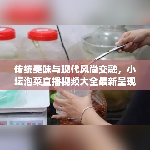 傳統(tǒng)美味與現(xiàn)代風(fēng)尚交融，小壇泡菜直播視頻大全最新呈現(xiàn)