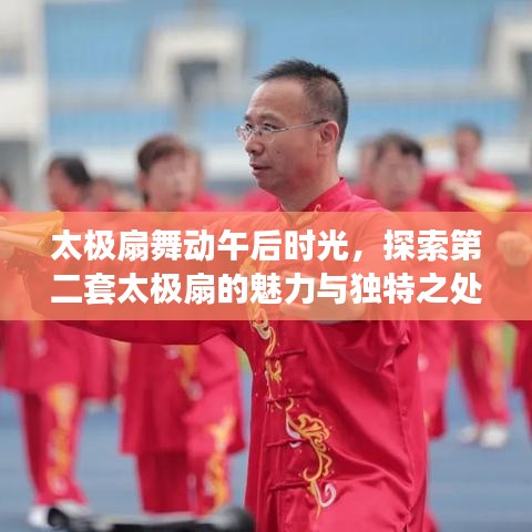 太極扇舞動午后時(shí)光，探索第二套太極扇的魅力與獨(dú)特之處