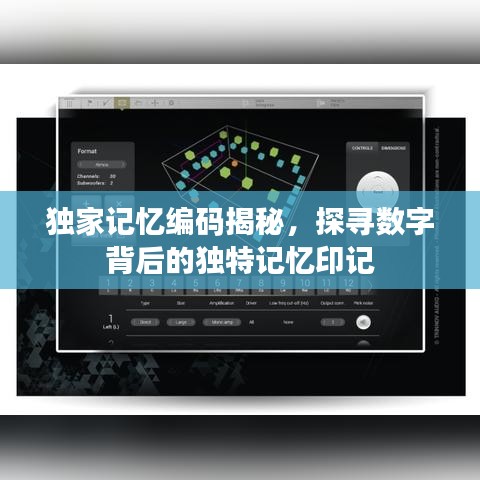 獨家記憶編碼揭秘，探尋數(shù)字背后的獨特記憶印記