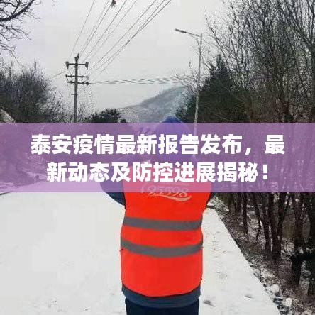 泰安疫情最新報告發(fā)布，最新動態(tài)及防控進展揭秘！