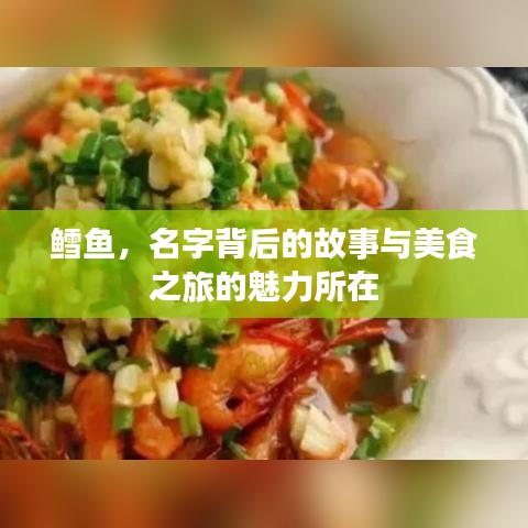鱈魚，名字背后的故事與美食之旅的魅力所在