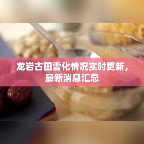 龍巖古田雪化情況實時更新，最新消息匯總