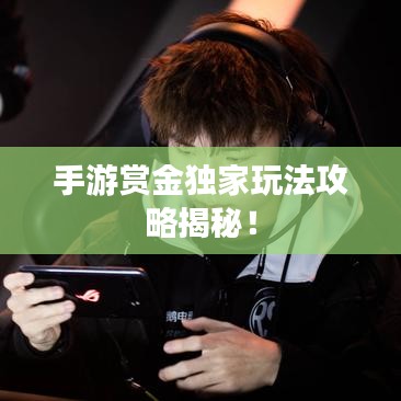 手游賞金獨家玩法攻略揭秘！