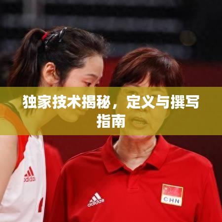 獨家技術(shù)揭秘，定義與撰寫指南