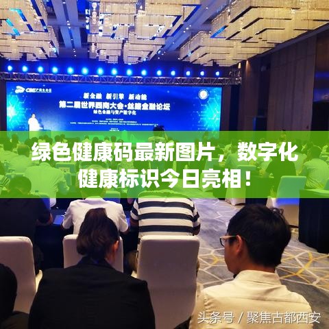 綠色健康碼最新圖片，數(shù)字化健康標識今日亮相！