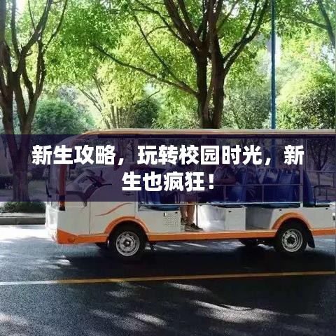 新生攻略，玩轉(zhuǎn)校園時(shí)光，新生也瘋狂！