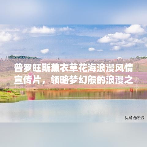 普羅旺斯薰衣草花海浪漫風情宣傳片，領略夢幻般的浪漫之旅！