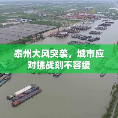 泰州大風(fēng)突襲，城市應(yīng)對挑戰(zhàn)刻不容緩