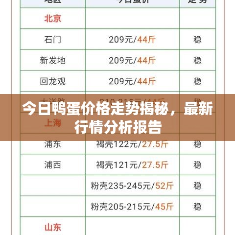 今日鴨蛋價(jià)格走勢(shì)揭秘，最新行情分析報(bào)告