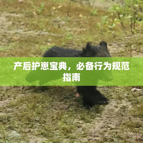 鶯啼鳥囀 第2頁