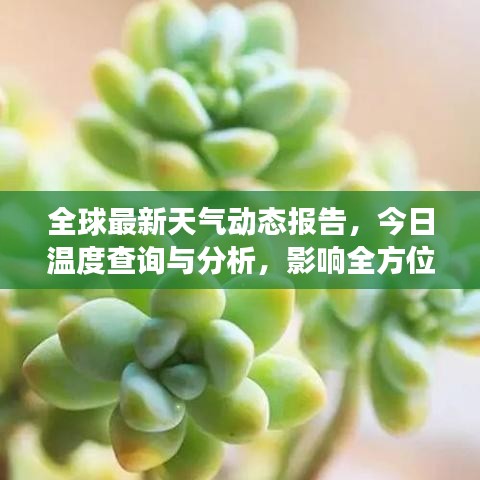 全球最新天氣動(dòng)態(tài)報(bào)告，今日溫度查詢與分析，影響全方位解讀