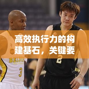 高效執(zhí)行力的構(gòu)建基石，關(guān)鍵要素與策略實(shí)施
