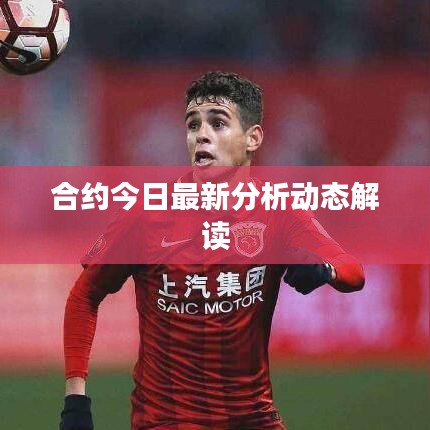 合約今日最新分析動(dòng)態(tài)解讀